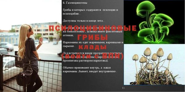 MDMA Premium VHQ Белоозёрский