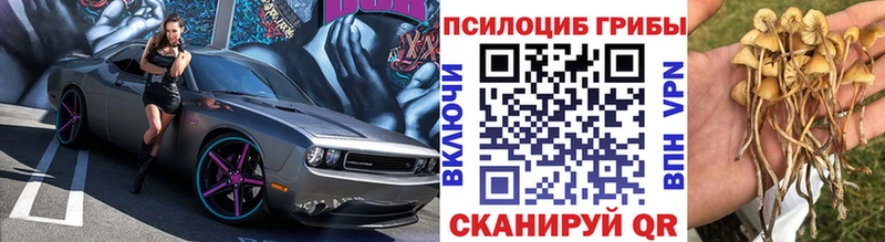 Псилоцибиновые грибы мухоморы  купить наркоту  Гулькевичи 